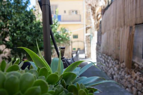 公寓 - 地面楼层