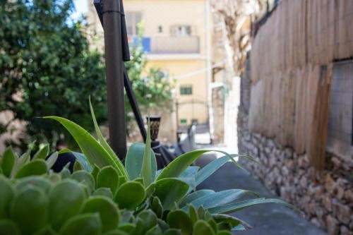 公寓 - 地面楼层