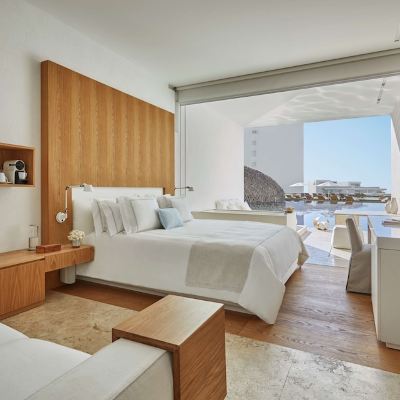 Junior Suite, 1 King Bed with Sofa Bed, Partial Ocean View (Plunge Pool)