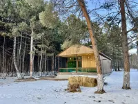 Milenium Villa Hotels in Sevan