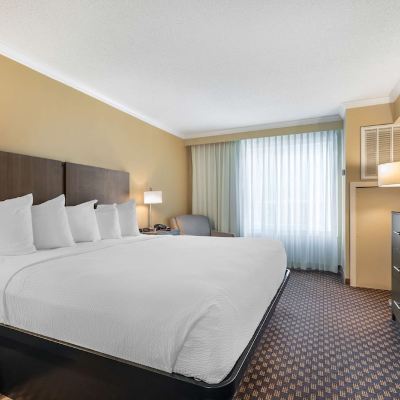 King Suite Best Western Ocean City Hotel and Suites Promo Code