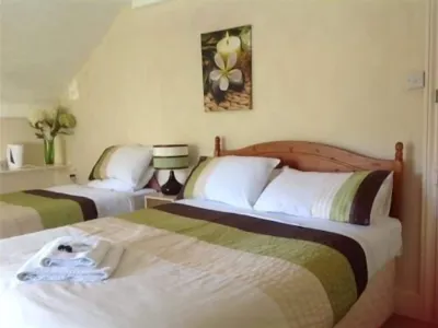 The New Inn Hotels in 