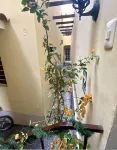Hotel Don Alberto