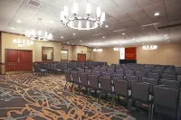 DoubleTree Suites by Hilton McAllen