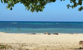 Beautiful 1-Bed Beach Side Studio in Montego Bay