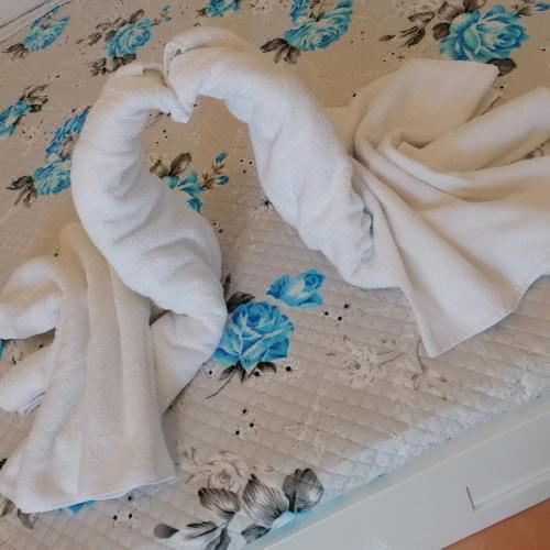 标准三人一室公寓