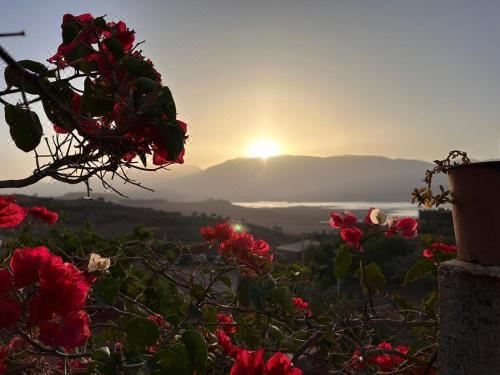 带湖景的双人间