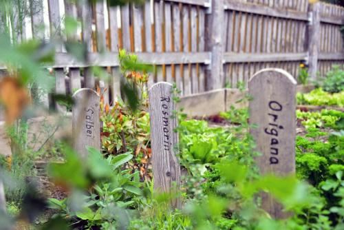 高级一卧室带阳台公寓