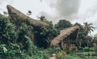 Dominican Tree House Village