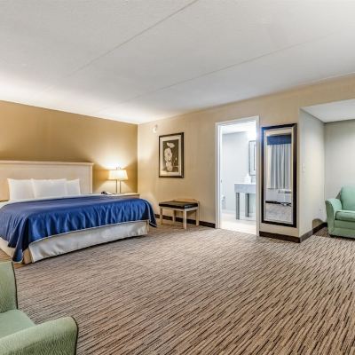 Suite-1 King Bed, Non-Smoking, Flat Screen Television, Sofabed, Desk, Microwave And Refrigerator, High Speed Internet Access, Continental Breakfast