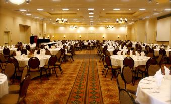 a large , well - lit banquet hall filled with numerous dining tables and chairs , ready for a formal event at Hilton Garden Inn Albany