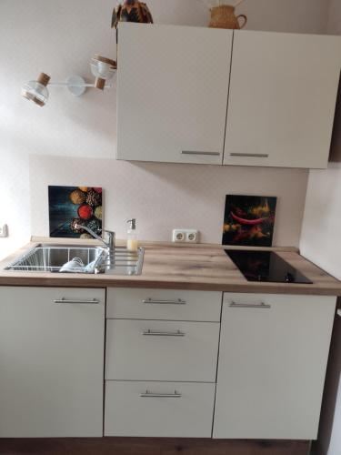 Pension GrenzeckOne-Bedroom Apartment With River View