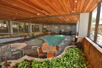 DoubleTree Suites by Hilton McAllen