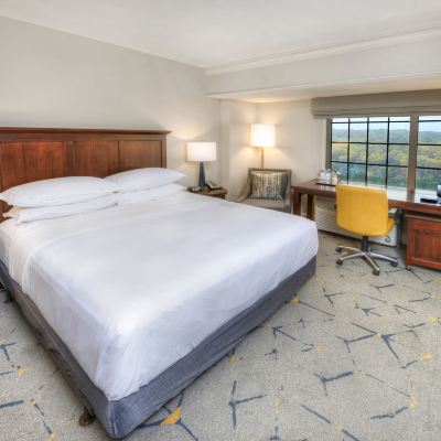 Club Room, 1 King Bed, Garden View (Mobility/Hearing Accessible, Tub) Sheraton Baltimore Washington Airport - BWI Promo Code