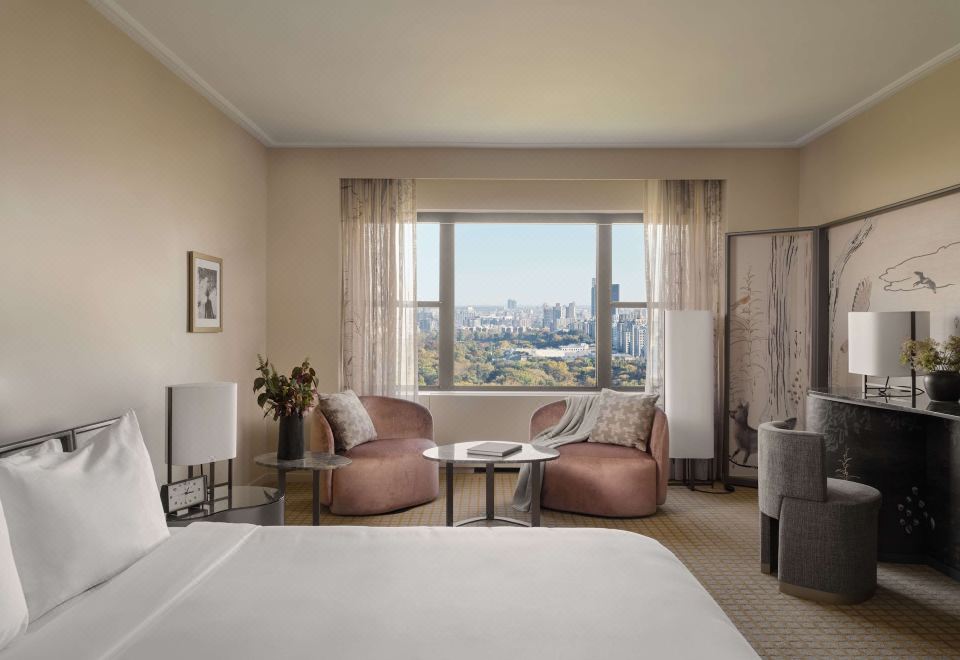 Park Lane New YorkPanoramic Studio Suite with Park View
