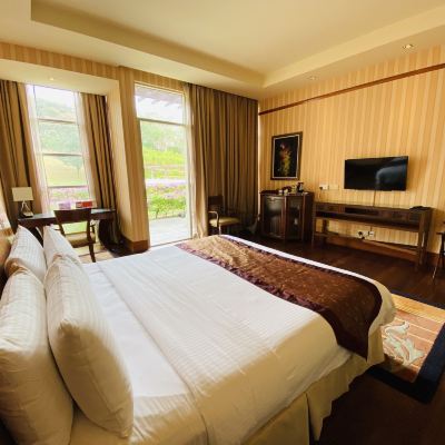 山景豪華特大床房 脈搏大飯店優惠