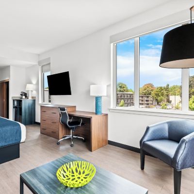 Hayward Pet Friendly Deluxe Room, 1 King Bed with Sofa Bed Hayward Inn Promo Code