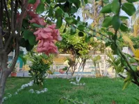 Rancho Mama Juany Hotels in 