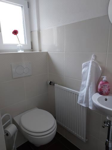 一卧室公寓（带阳台）