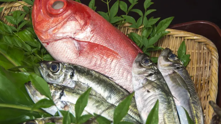 魚拓荘鈴木屋 食事・レストラン