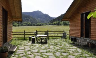 a wooden house with a green roof , surrounded by a stone terrace and a mountainous landscape at Farma Sotira