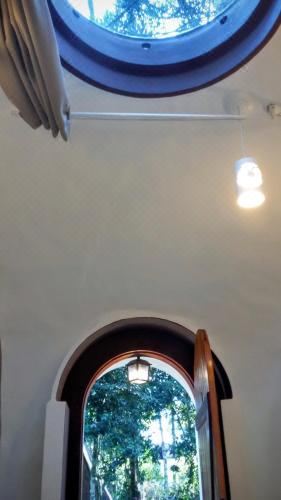 冰屋 - 带花园景观