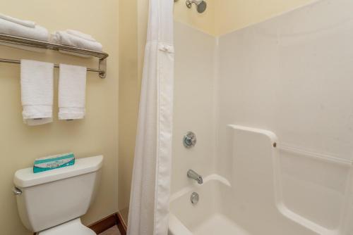 一卧室一室公寓