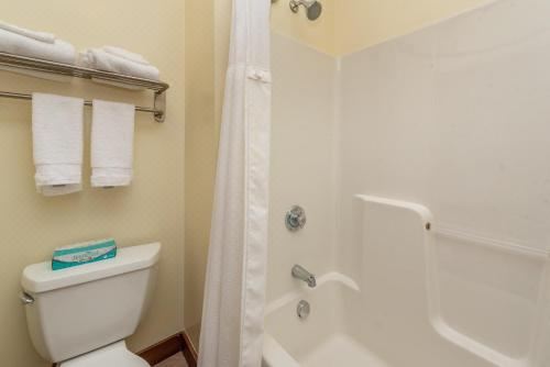 一卧室一室公寓