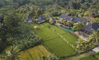 Pinggala Villa Ubud