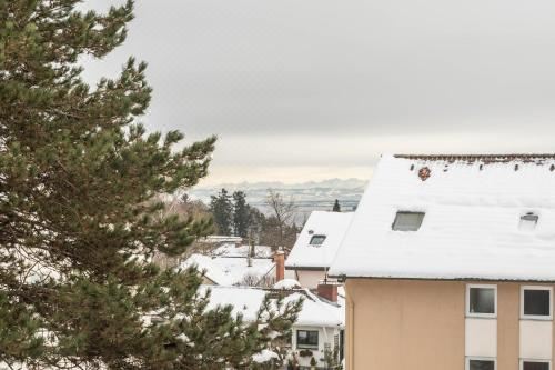 高级两卧室公寓