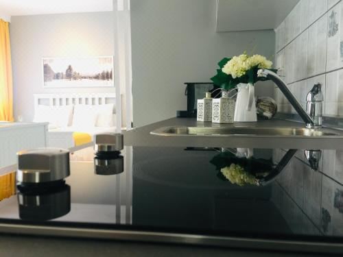 Alektor Studio Apartment