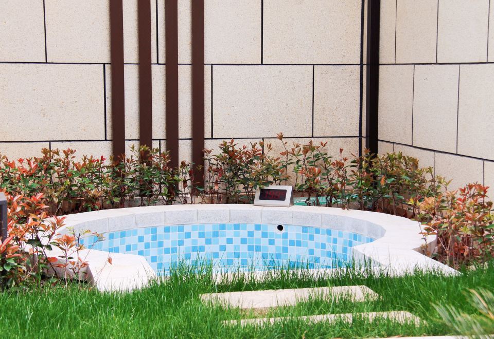 温泉一室一厅大床别墅