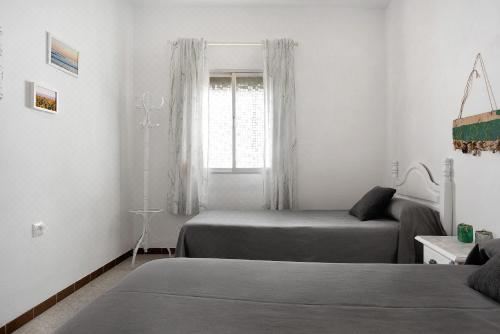 高级两卧室公寓