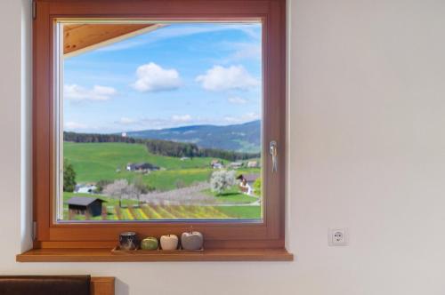 高级两卧室公寓