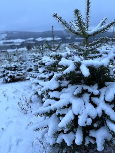 套房（带热水浴缸）