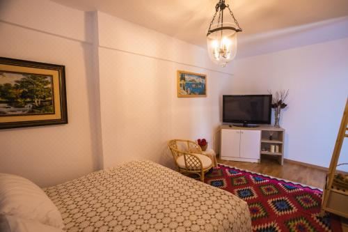 带山景的双人间