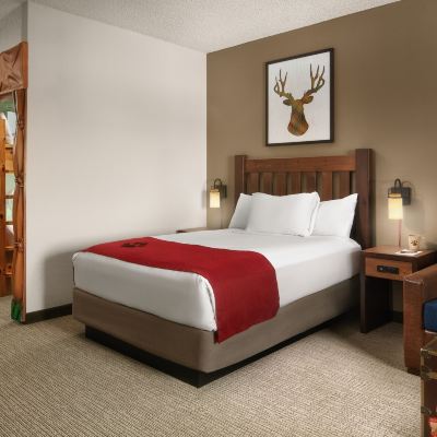Kid Kamp Suite-Water Park Included Great Wolf Lodge Grapevine Promo Code