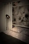 Kotimaailma Alex 1