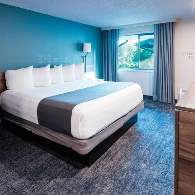 Single King-Cityside Ruby River Hotel Promo Code