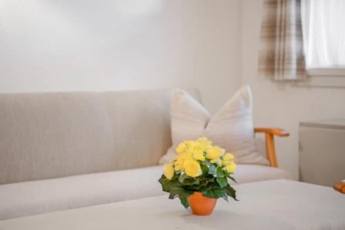 高级两卧室公寓