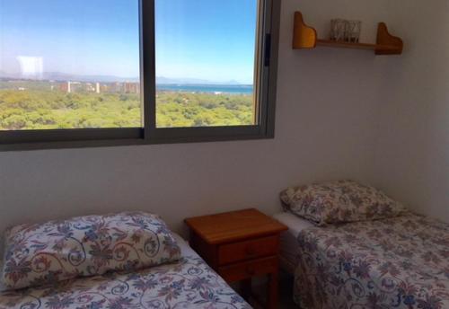 高级两卧室公寓