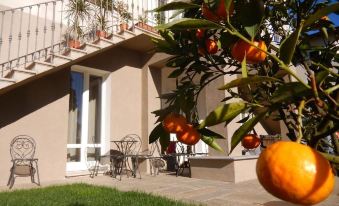 White Lilac Romantic B&B - Adults only - Housity