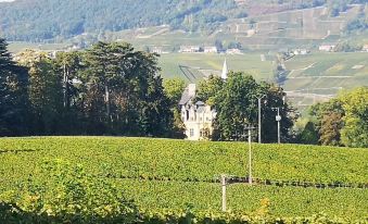 Le Temps d'Une Pause à Boursault - Housity