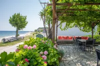 Hotel Cleopatra Hotels in 