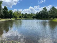 Cozy cabin w/ private pond & firepit. 3 miles to lake & 12 to Crater of Diamonds