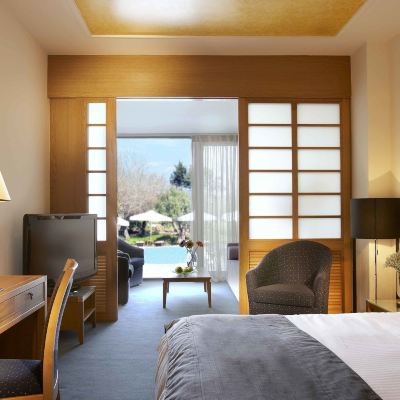 Family Room, Garden View, Poolside Alexander Beach Hotel & Spa Promo Code