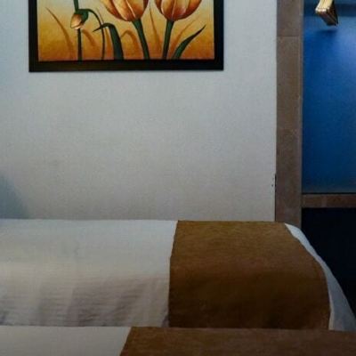 Triple Room Hotel Don Carlos Promo Code