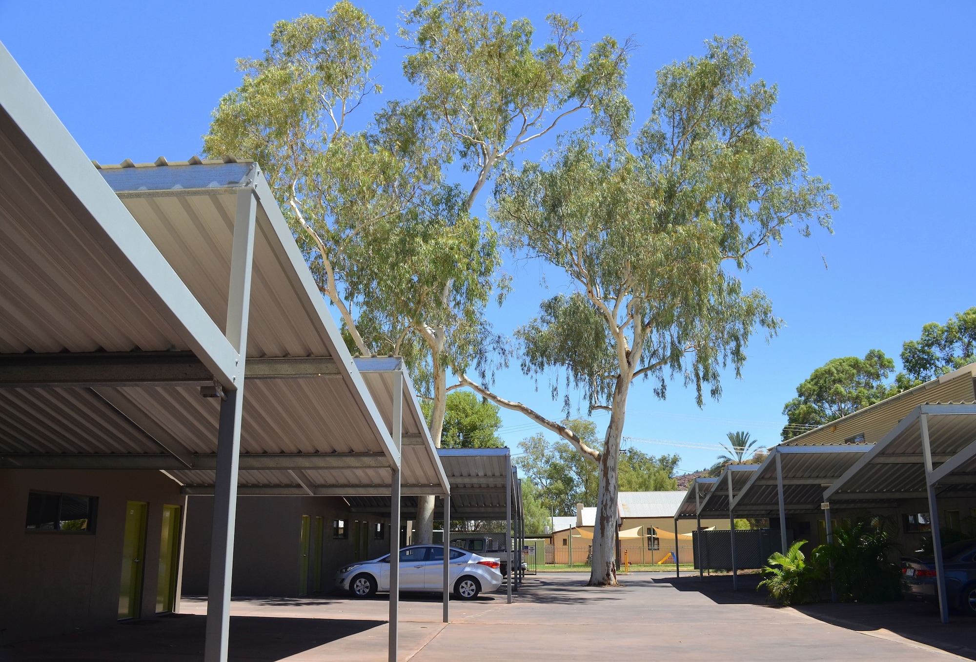 一卧室豪华公寓-可携带宠物（需求）