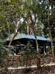 Hotel Gringo Perdido Hotels in 