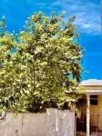 Cozy Corner - Vacation Rental in Beautiful Barbados  호텔